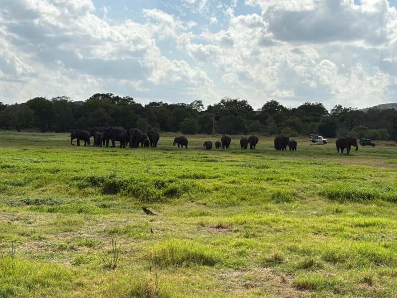 Hurulu Eco Park Safari From Sigiriya Eco Jeep Adventure - Good To Know