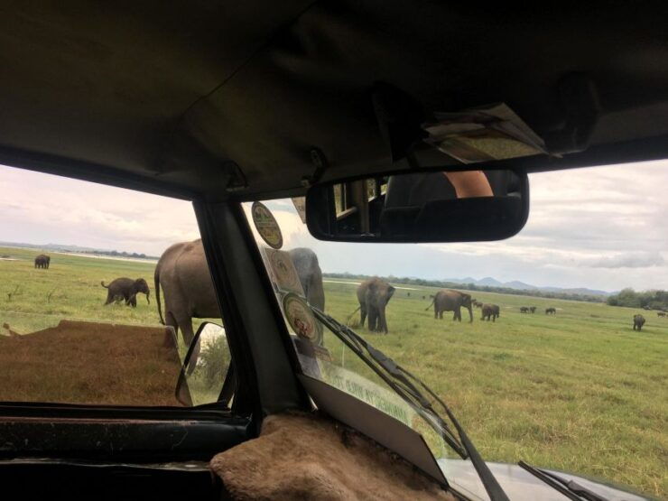 Hurulu National Park Safari Minneriya - Experience Highlights
