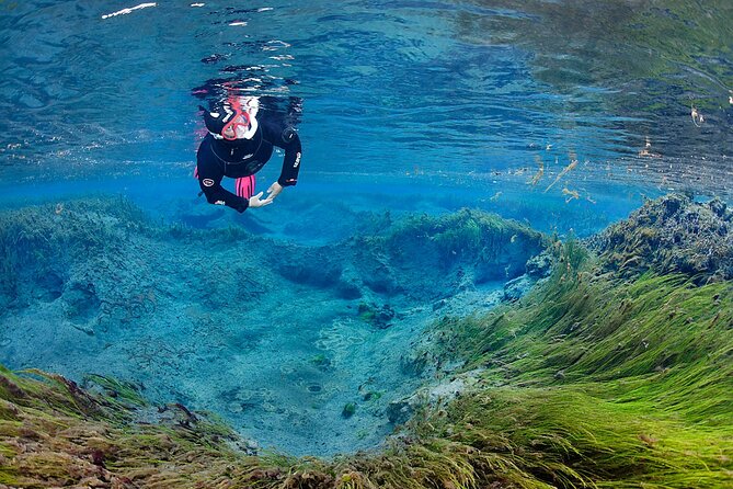 Húsavík: Bubbling Sands Snorkeling Tour - Common Questions