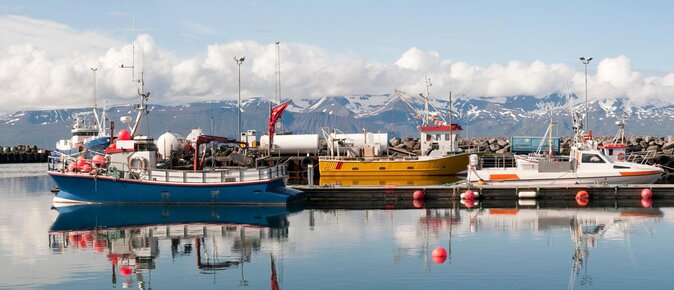 Husavik: Hot and Cold Snorkeling and Spa Tour - Selfdrive - Good To Know