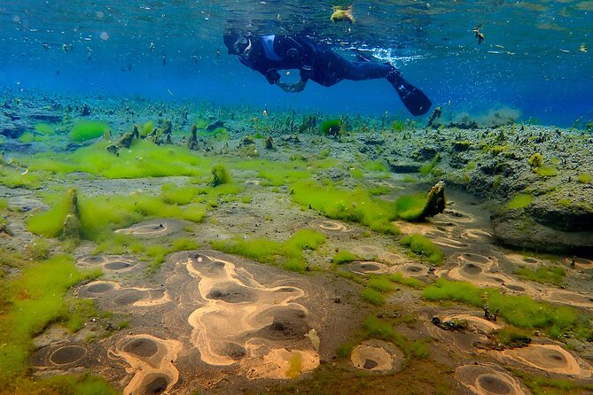 Husavik: Hot and Cold Snorkeling and Spa Tour - Selfdrive - Booking Information and Price