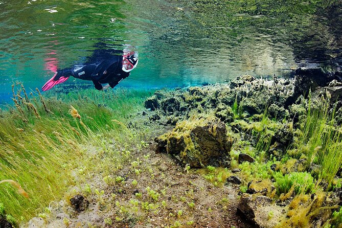 Husavik: Hot and Cold Snorkeling and Spa Tour - Selfdrive - Confirmation and Group Size