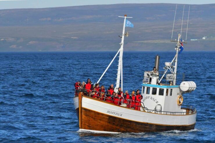 Húsavík: Whale Watching Boat Tour - Experience Highlights