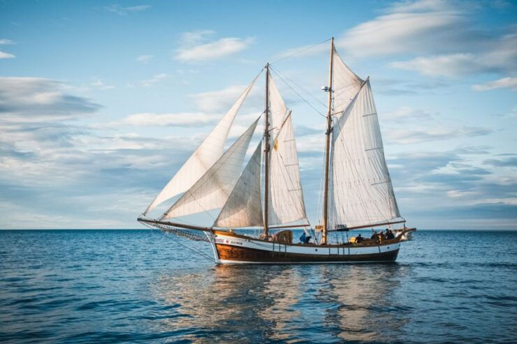 Húsavík: Whale Watching by Traditional Wooden Sailing Ship - Experience Highlights