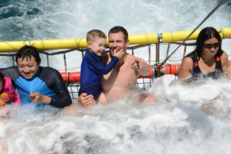 Huskisson: Dolphin Cruise & Boom Netting Experience - Activity Details