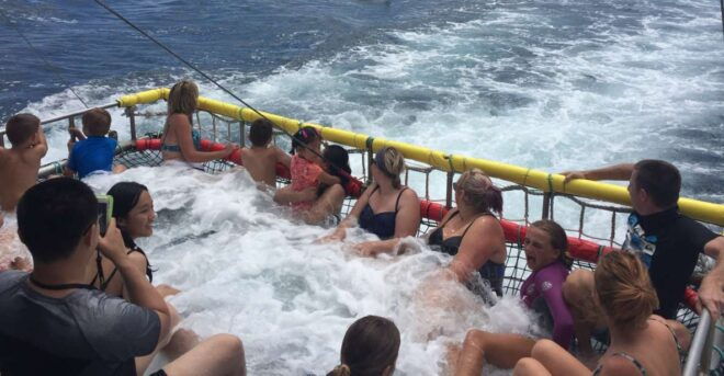 Huskisson: Dolphin Cruise & Boom Netting Experience - Inclusions