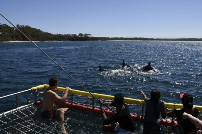 Huskisson: Dolphin Cruise & Boom Netting Experience - Directions