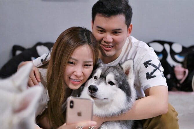 Huskitory Connecting People and Dogs - What Is Huskitory Connecting People and Dogs?