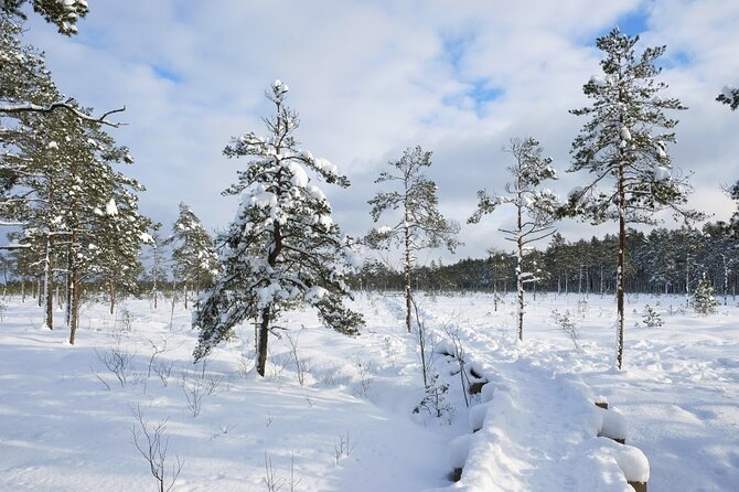 Husky Dog Sledding Tour From Riga - Customer Reviews