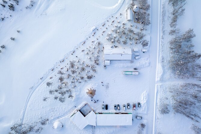 Husky Experience and Dog Sled Driving - Morning Tour - Tour Confirmation and Accessibility