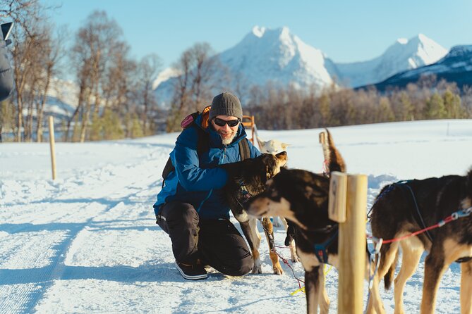Husky Experience and Dog Sled Driving - Morning Tour - Health and Safety Recommendations