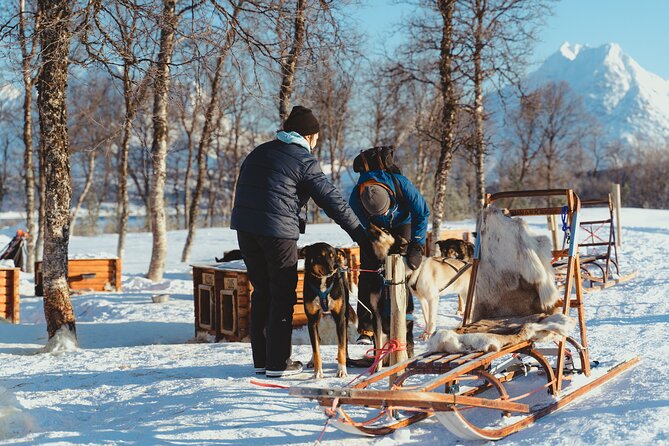 Husky Experience and Dog Sled Driving - Morning Tour - Reviews and Ratings