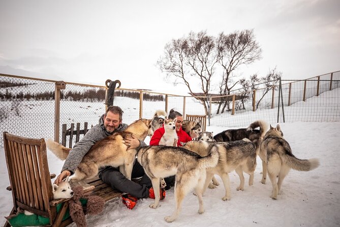Husky Petting, in Akureyri - Confirmation and Participants