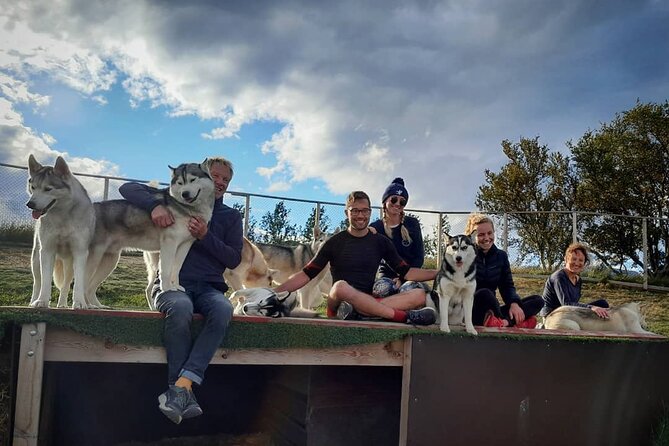 Husky Petting in Akureyri (private) - Pickup Details