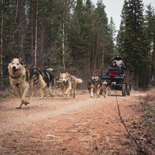 Husky Safari and Guided Tour. Autumn - Itinerary Details