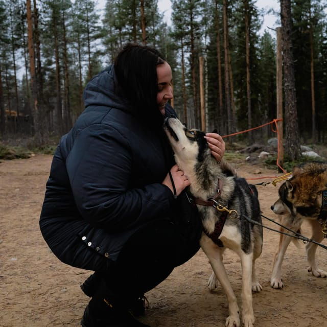 Husky Safari and Guided Tour. Autumn - Important Information