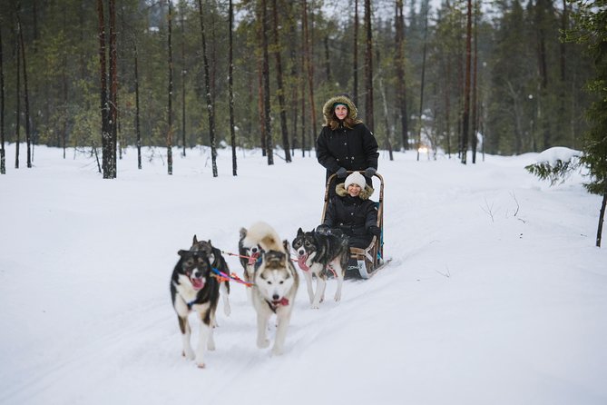 Husky Safari From Rovaniemi Including a Husky Sled Ride - Overview of the Experience