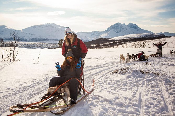 Husky Sledding Self-Drive Adventure in Tromso - Tour Details and Requirements