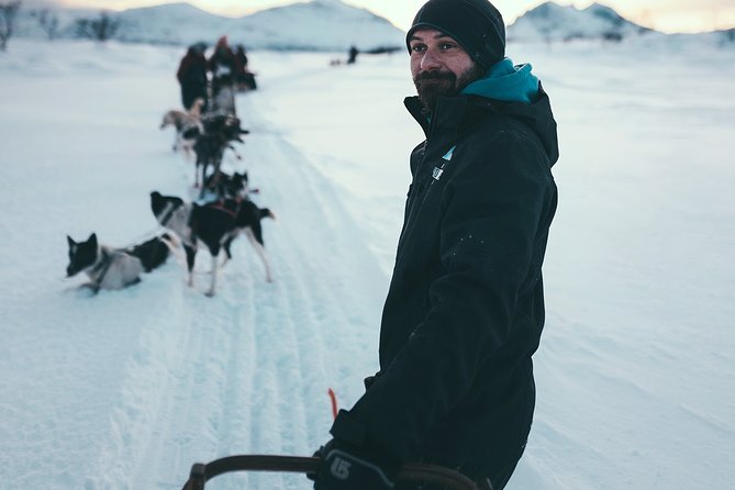 Husky Sledding Self-Drive Adventure in Tromso - Common Questions