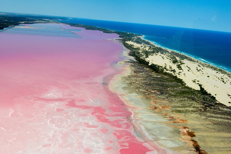 Hutt Lagoon Pink Lake Scenic Flight Experience from Geraldton - From Geraldton to Hutt Lagoon