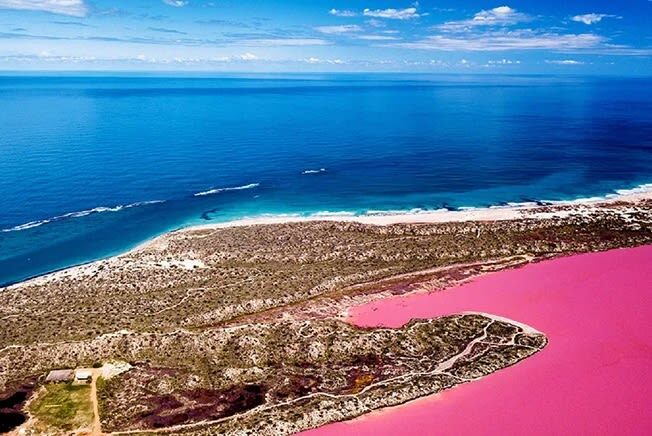 Hutt Lagoon Pink Lake Scenic Flight Experience from Kalbarri - Hutt Lagoon from the air: the main event