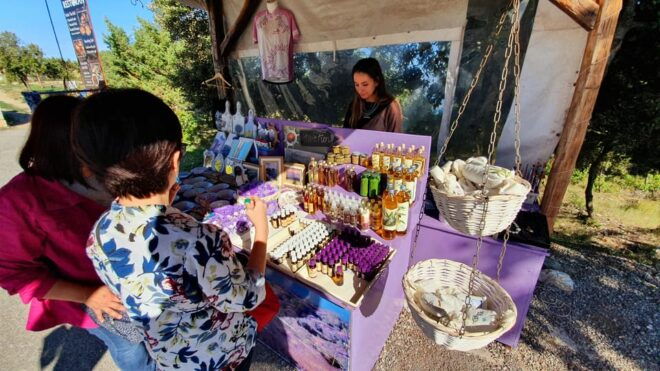 Hvar: Day Trip From Split With Wine Tasting - Winery Visit and Wine Tasting