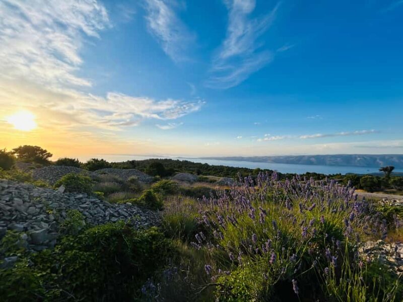 Hvar: Hidden Gems Tour - Hvar: Hidden Gems Tour Review