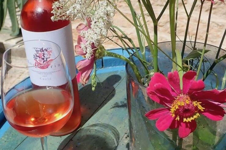 Hvar: Hvar Wine Tasting Experience - Tour Itinerary Highlights