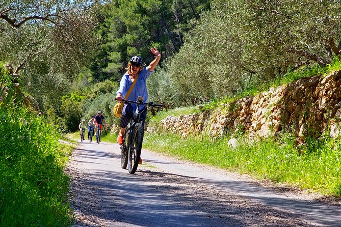 Hvar Island Guided E-Bike Tour - Tour Overview