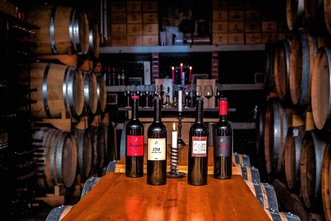 Hvar: Island tour with Wine and Olive Oil Tasting - Who Will Love This Experience?