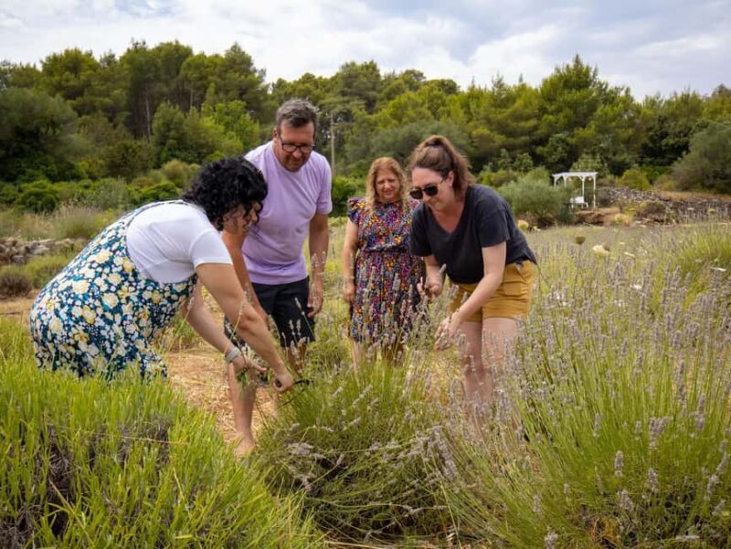 Hvar: Lavender Fields, Honey, and Local Product Tasting - Authentic Experiences and Insights from Reviews