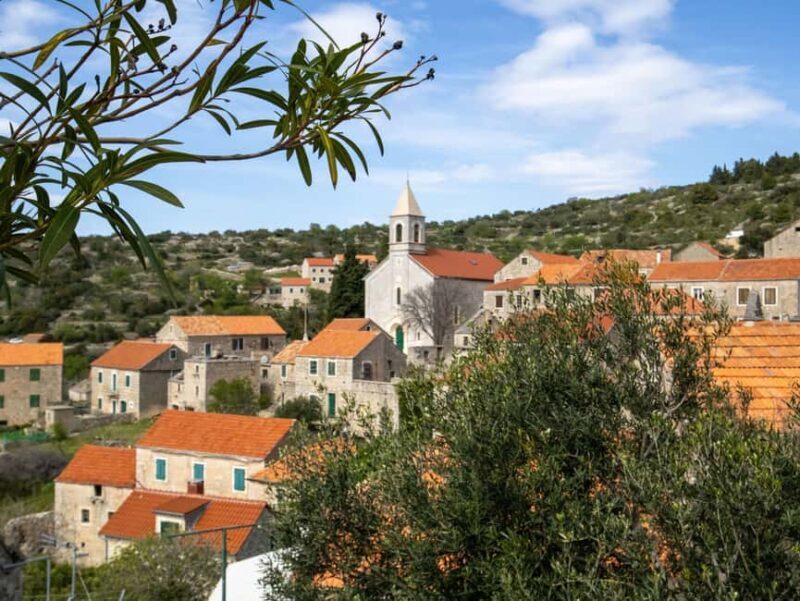 Hvar: Lavender Fields, Honey, and Local Product Tasting - The Sum Up