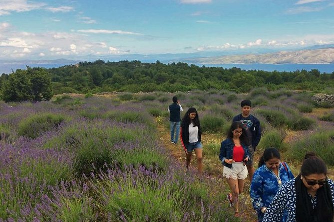 Hvar Lavender Tour - Tour Overview