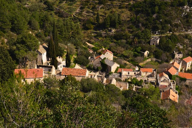 Hvar Lavender Tour - Price and Booking Details