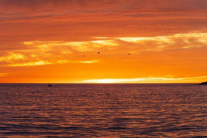 Hvar & Magical Blue Lagoon - Summary: Who Is This Tour Best For?