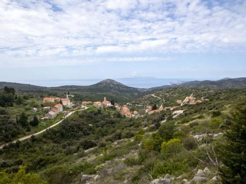 Hvar: Wine Tasting Tour and Island Sightseeing - The Sum Up