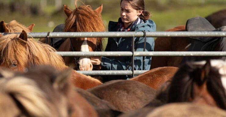 Hveragerdi: Countryside Charm Horse Riding Tour - Booking Information