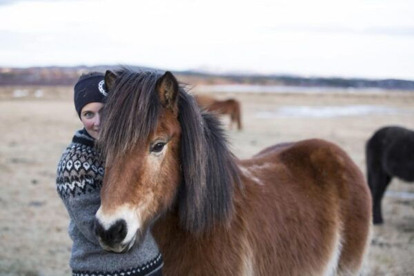 Hveragerdi: Countryside Charm Horse Riding Tour - Safety Precautions