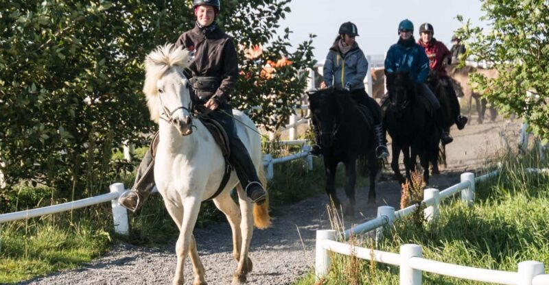 Hveragerdi: The Siggi Horse Riding Tour - FAQs