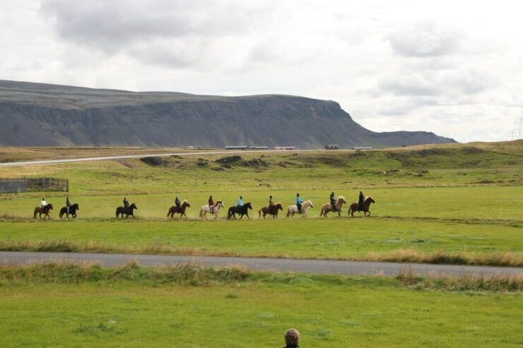Hveragerdi: The Siggi Horse Riding Tour - Good To Know