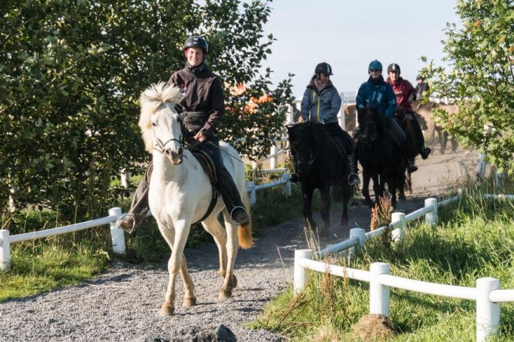 Hveragerdi: The Siggi Horse Riding Tour - Itinerary and Experience