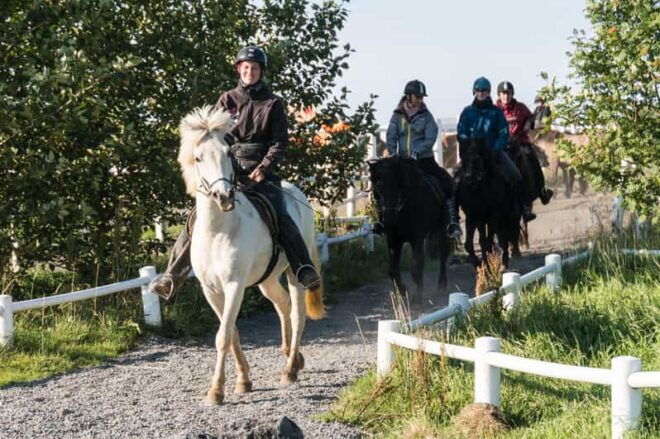 Hveragerdi: The Siggi Horse Riding Tour - Important Details