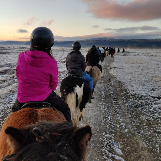 Hveragerdi: The Siggi Horse Riding Tour - What to Bring and Restrictions
