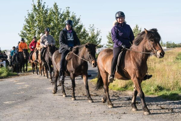 Hveragerdi: The Siggi Horse Riding Tour - Scenic Ride and Highlights