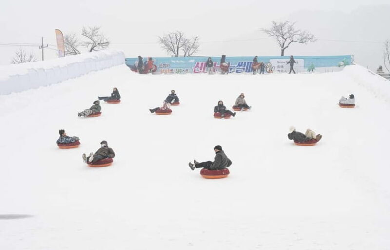 Hwacheon Ice Fishing Festival Day Tour (+Eobi Ice Valley) - The Value of the Tour