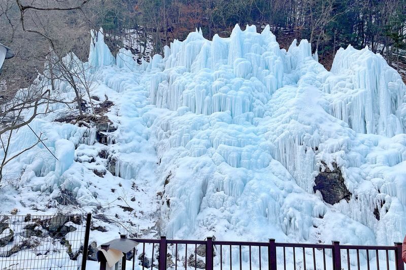 Hwacheon Sancheoneo Ice Fishing / Ice Valley / Elysian Ski Day Tour - Should you book the Hwacheon ice festival tour?