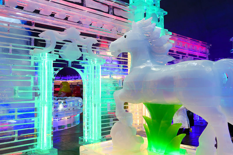 Hwacheon Sancheonfish Ice Festival & Eobi Ice Valley Tour from Seoul - What the festival time is really like