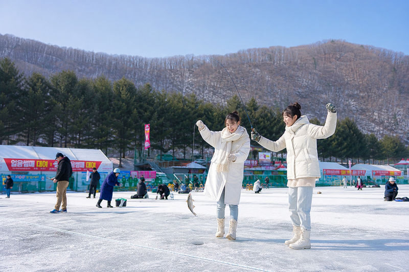 Hwacheon Sancheonfish Ice Festival & Eobi Ice Valley Tour from Seoul - Guides, instructions and group coordination