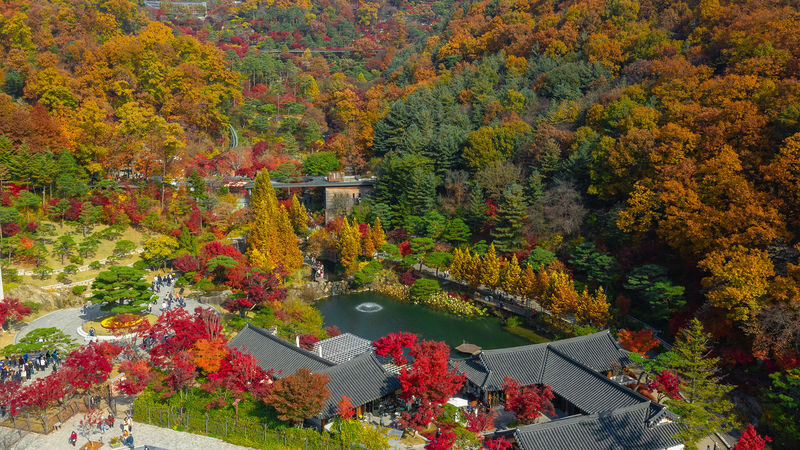 Hwadam Botanic Garden&Gwangmyeong Cave&Korean Folk Village Day Tour - The details that matter before you book