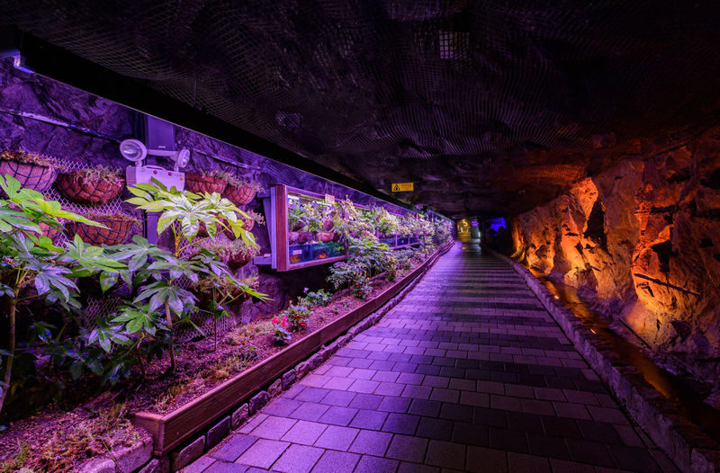 Hwadam Botanic Garden&Gwangmyeong Cave&Korean Folk Village Day Tour - A long ride made simpler from Seoul